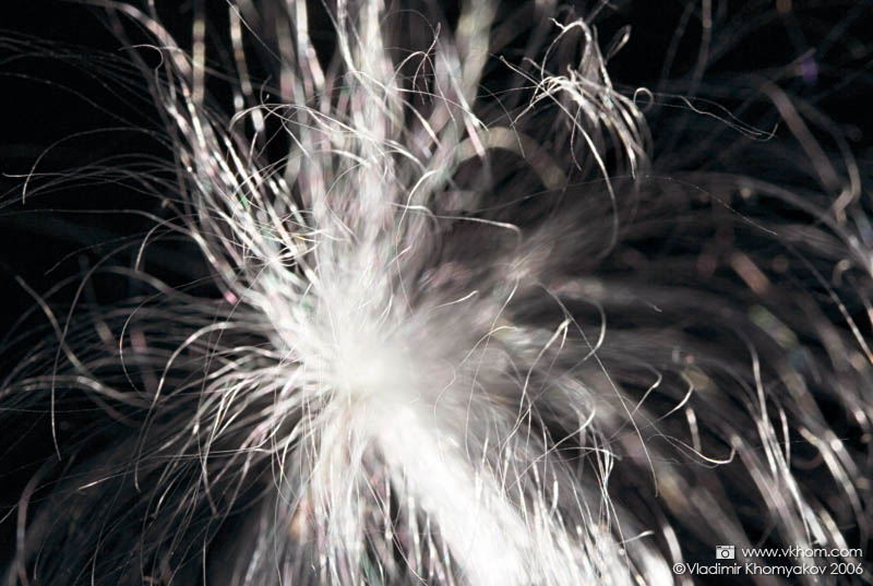 Fluff seed #1