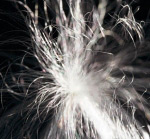Fluff seed #1